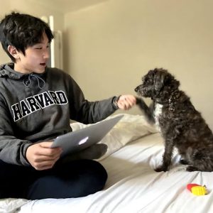 부모가 처음인 우리