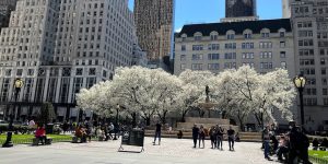 孝 강요하는 사회