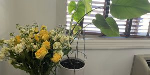 孝 강요하는 사회 - 유대인의 부모 노릇