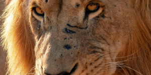 평범한 회사원에서 투자자로 성장하는 법