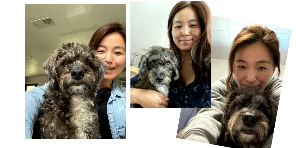 강아지사료 선택하기