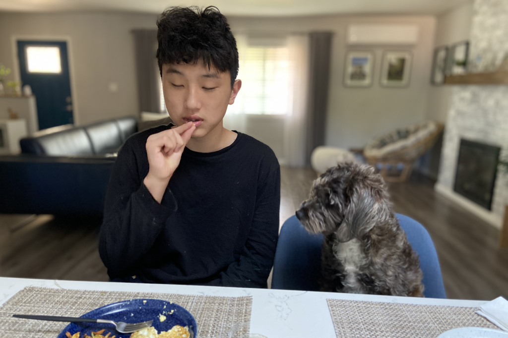 A rescue dog from Korea