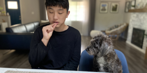 A rescue dog from Korea