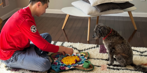 유기견 해외입양