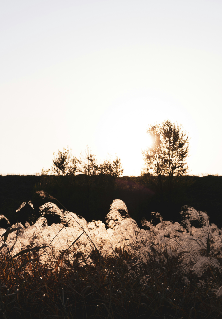 대구의 딸과 광주의 아들이 만나는 곳